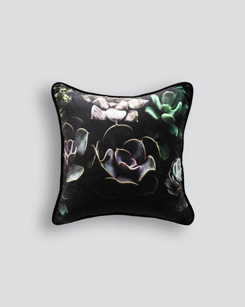 Dr store ollo pillow